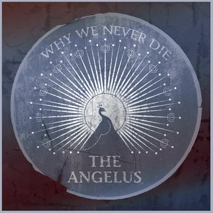 'Why We Never Die' için resim