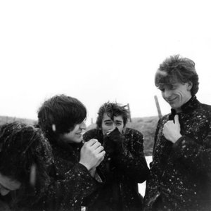 Imagem de 'The Chameleons'