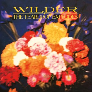 “Wilder”的封面