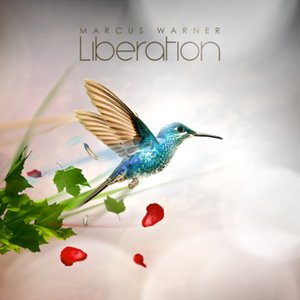 Image for 'Liberation'