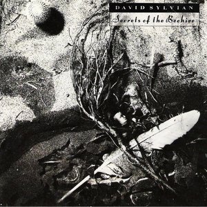 Imagem de 'Secrets of the Beehive [Reissue]'