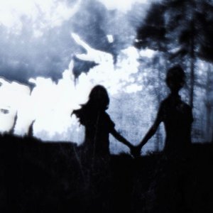 Image for 'Silent Hill X Poison Tree'