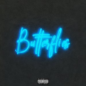 Image pour 'Butterflies'