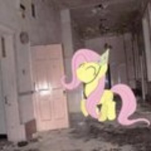 Zdjęcia dla 'my little pony'