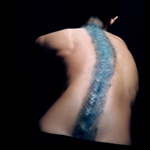 Immagine per 'O Laço da Cobra'