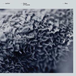 Изображение для 'Sense of Purpose'