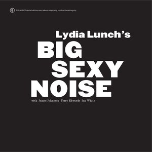 Bild für 'Big Sexy Noise'