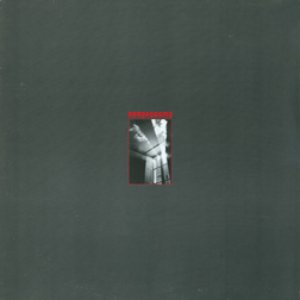 Image for 'Lp'