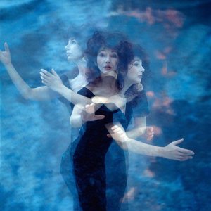 Image for 'Kate Bush'