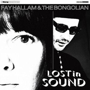 Image for 'Lost In Sound'
