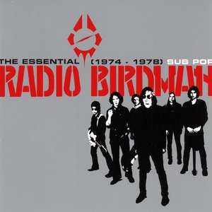 Image pour 'The Essential Radio Birdman'