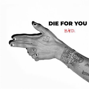Image for 'Die for You'