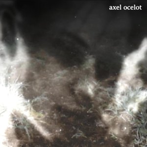 Image for 'axel ocelot'