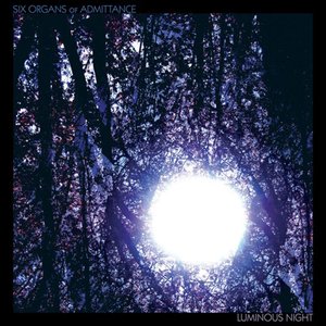 Image for 'Luminous Night'