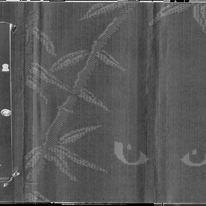 Image for 'Black Front Door'