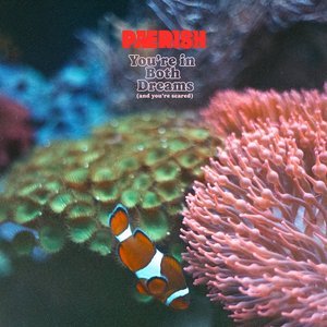 Image pour 'You're in Both Dreams (And You're Scared)'