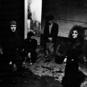 Image for 'Euroshima'