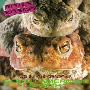 'The Mating Sounds of South American Frogs'の画像