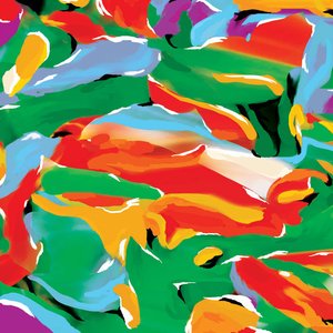 Image for 'Birds of Paradise'