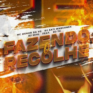 Imagem de 'Fazendo o Recolhe (feat. Dj TC)'