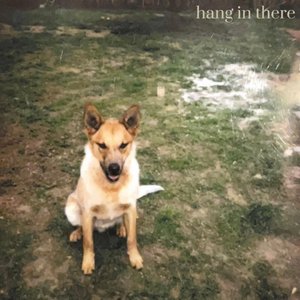 Bild für 'Hang In There'