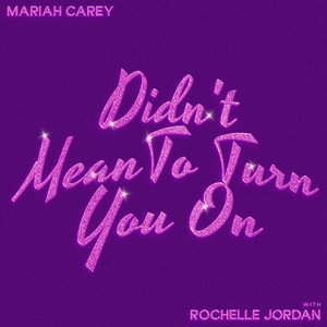 Image for 'Didn't Mean To Turn You On (with Rochelle Jordan)'