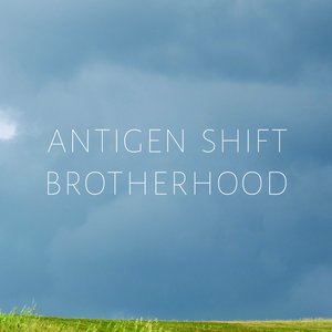 Image for 'Brotherhood'