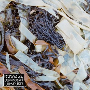 Image for 'Ithaca'
