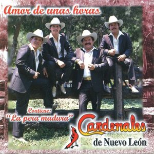 Image for 'Amor de Unas Horas'