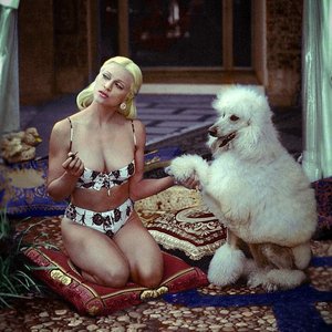 Image for 'Madonna'