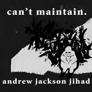 Image for 'Can't Maintain'