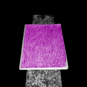 Image for 'dear pink diary'