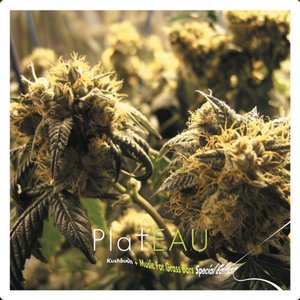 Image for 'Kushbush + Music for Grassbars (Special Edition)'
