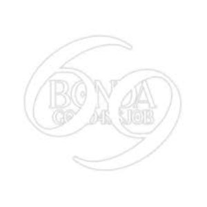 Image for 'BONDA GOOD 4SS JOB'
