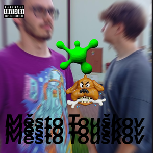 Vasek_kosek