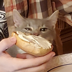 ninmori