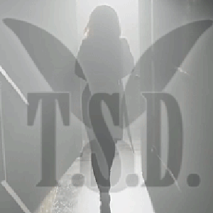 TSDMusicND