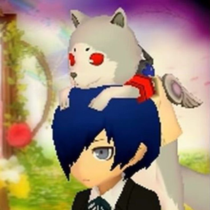 kouki_ilysm
