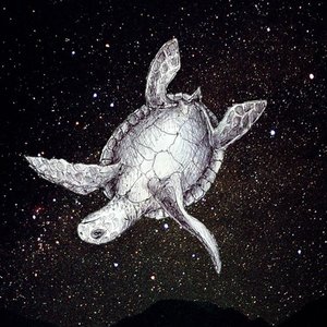 Image for 'la grosse tortue'