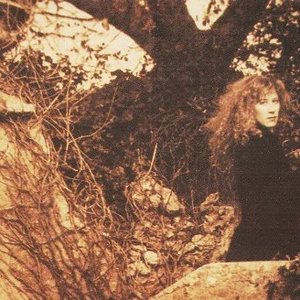 Immagine per 'Loreena McKennitt'