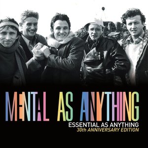 'Essential As Anything'の画像