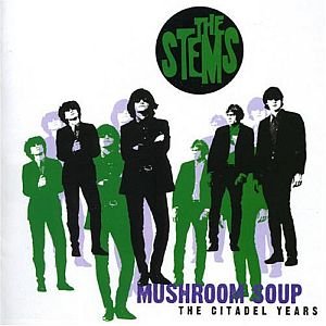 Immagine per 'Mushroom Soup'