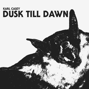 Image for 'Dusk Till Dawn'