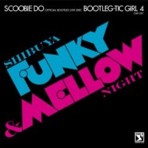 Image for 'Bootleg-tic Girl 4'