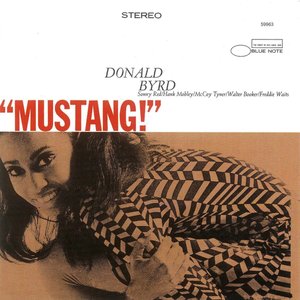 'Mustang' için resim
