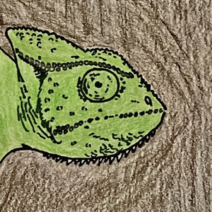 Image for 'The Chameleon'