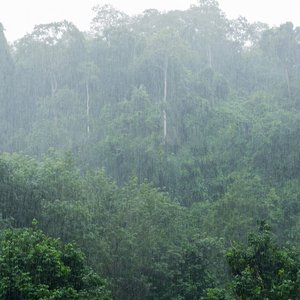 'Sofia Rain'の画像
