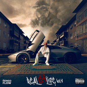 Immagine per 'RealG4Life Vol. 4'