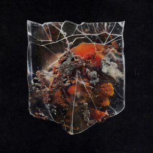 Image for 'Death & Connection'