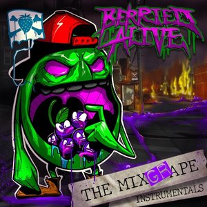 Image for 'The Mixgrape Instrumentals'